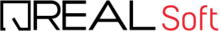 realsoftware.it