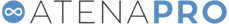 atenapro.it